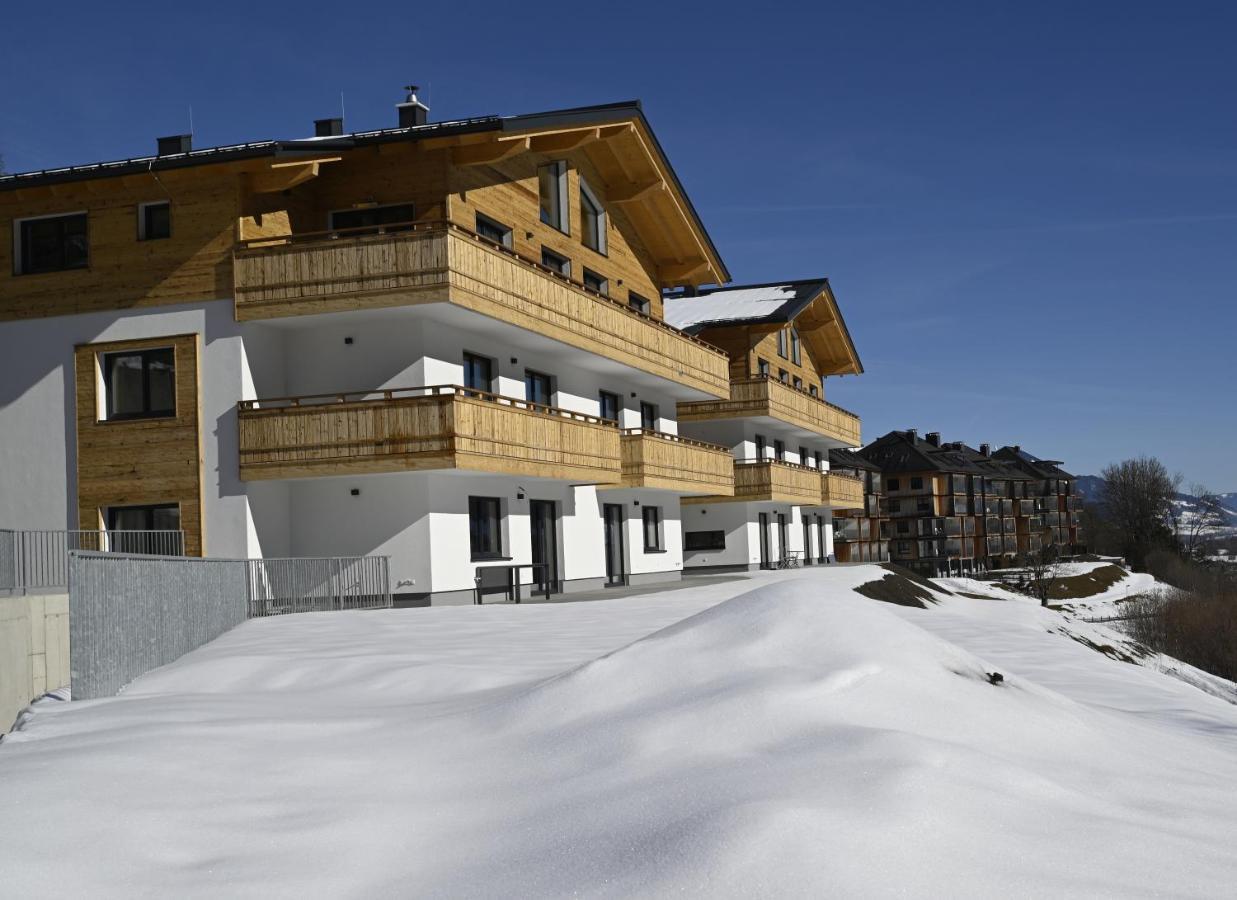 Alma&Antonia Apartment Schladming Ngoại thất bức ảnh